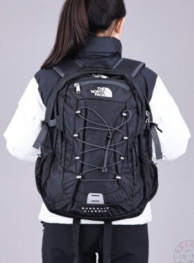 TheNorthFace北面双肩包25秋冬新款户外旅行29升BOREALIS背包CF9C