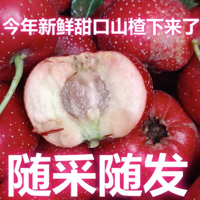 山楂新鲜甜红子自家果园甜口