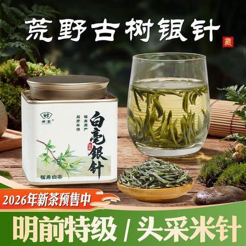 2026头采荒野古树白毫银针