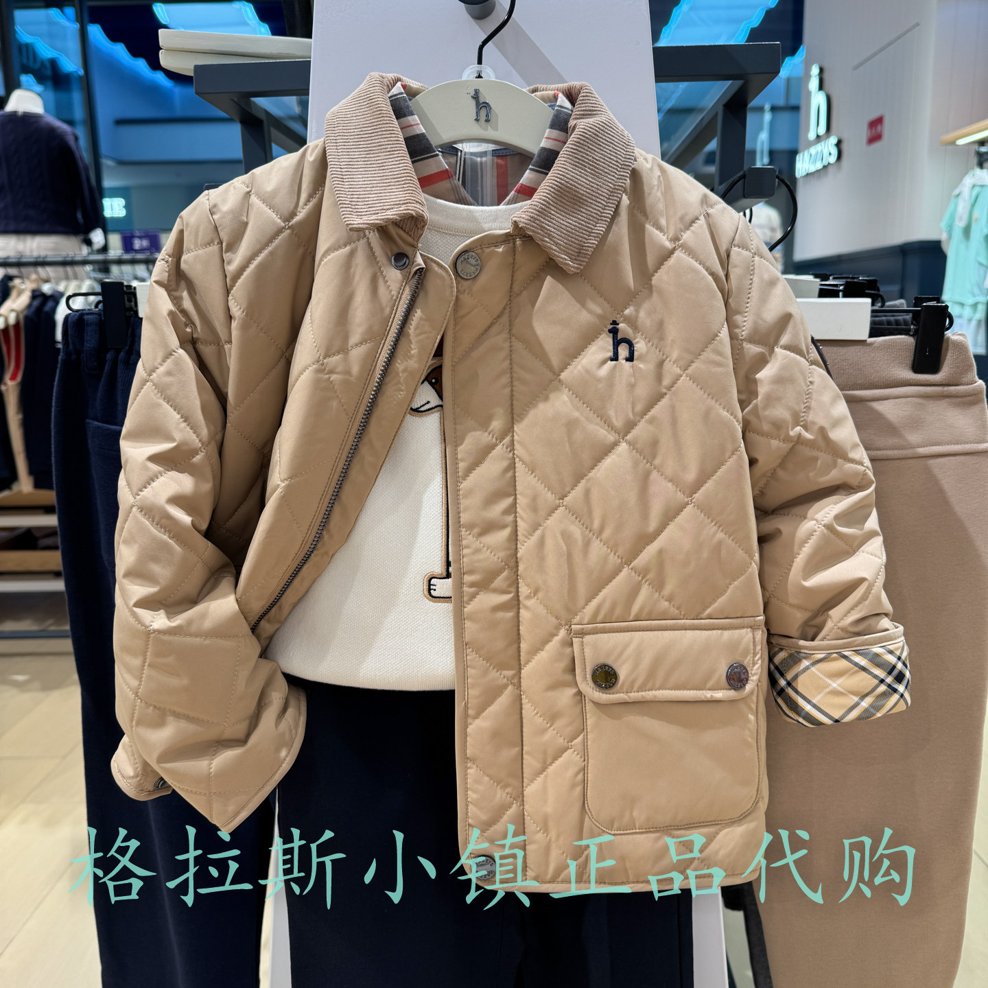 特价哈吉斯童装26秋男童翻领棉服