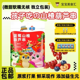 未零鹿战队蓝莓山楂葫芦串77g儿童健康零食原果打浆添加益生元