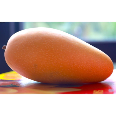 果王4.6斤礼盒装海南金煌芒果【钳子拯救没胃口】