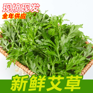 艾草新鲜食用当天采摘新鲜蔬菜清明草粑粑青团4斤包邮新鲜艾草叶