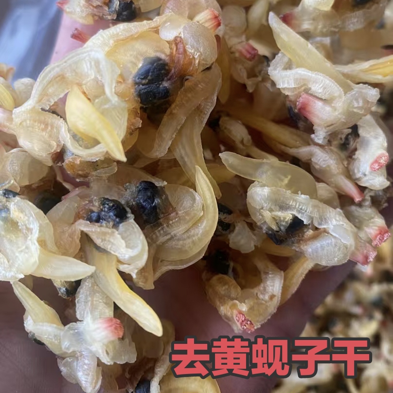 即食蚬子海虹威海特产