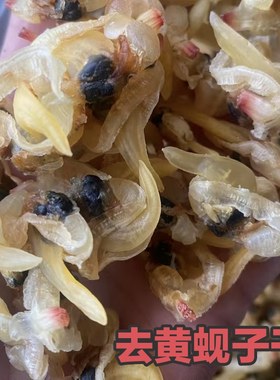 去黄原味蛤肉蚬子蛤蜊肉海虹干威海特产炒菜做汤包饺子
