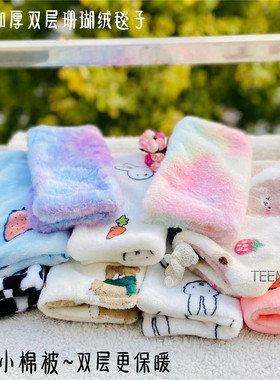 豚鼠金丝熊仓鼠刺猬龙猫貂蜜袋鼯松鼠冬季毛毯小棉被鹦鹉