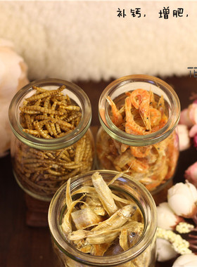 TEEMO 松鼠 蜜袋鼯 龙猫 兔子 飞鼠【增肥三宝】