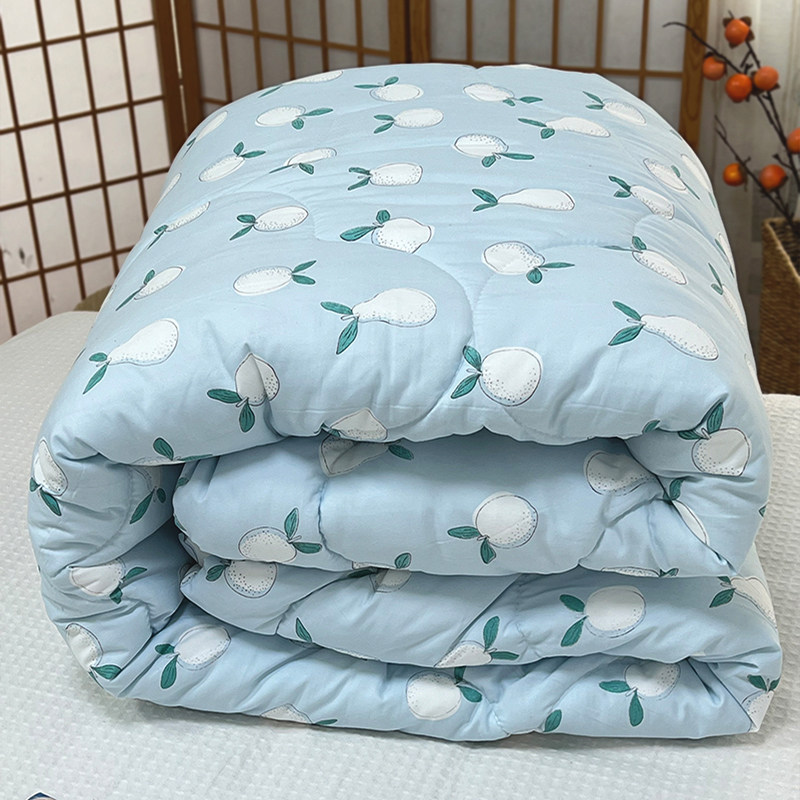 【清仓】被子冬被柔软的单人双人春秋被学生宿舍保暖褥子单件,床上用品,化纤被,淘宝优惠券,粉丝福利购,淘宝优惠卷