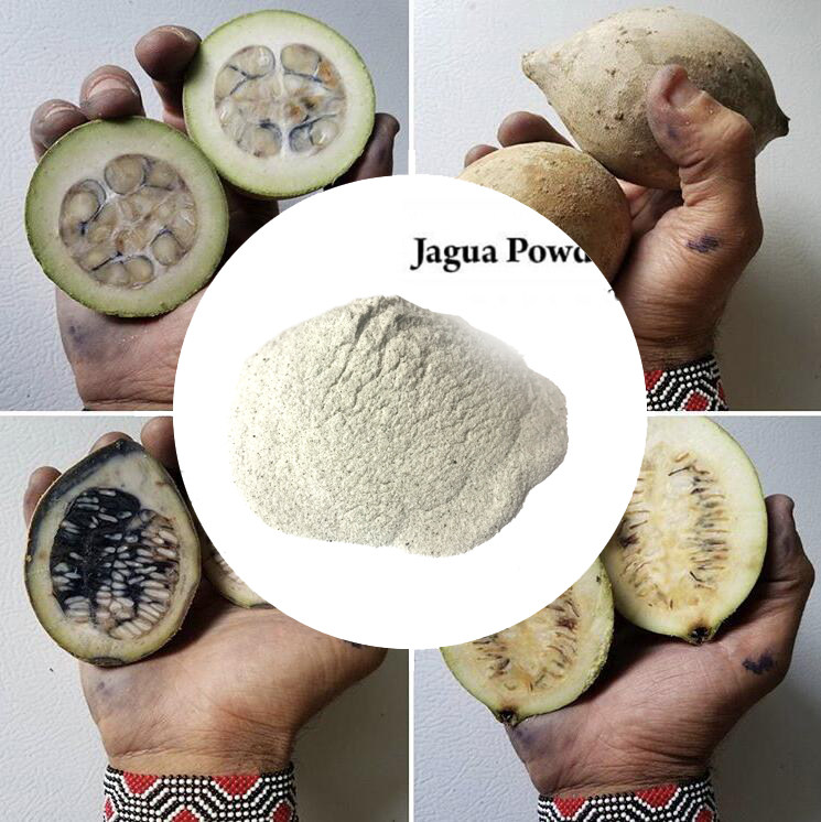Miss海娜jagua草本果汁纹身粉 两周仿真纹身膏 jagua powder10G