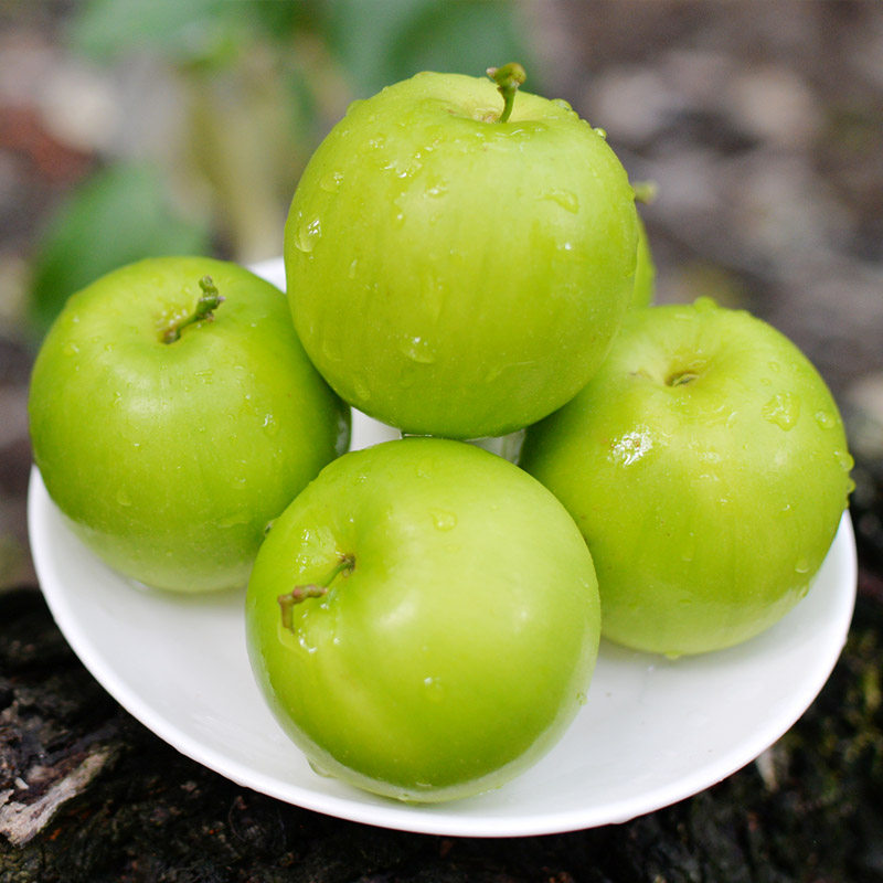 果识台湾贵妃蜜枣 牛奶枣新鲜水果福建蜜枣5斤包邮冬枣大青枣