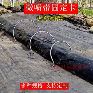 微喷带固定卡子地布钉农用灌溉微喷带固定叉卡子滴灌带固定器卡扣