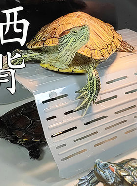 爬元素晒台乌龟专用晒台