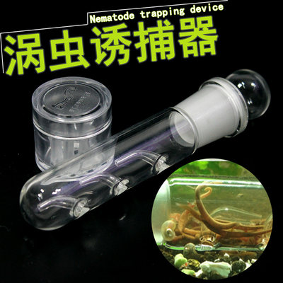 除涡虫线虫水蛭捕捉器鱼缸物理捉虫水草缸除虫器抓虫器涡虫诱捕器