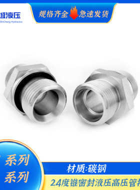 1CB/1DB系列英制G螺纹伊*顿标准GE标准24度锥卡套过渡接头