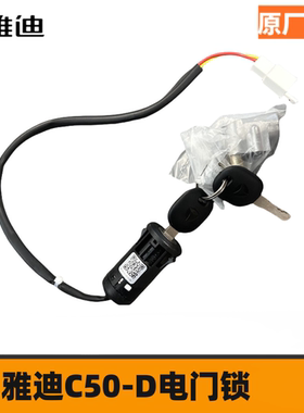 雅迪C50-D C20-D C60-D CM620-D 摩登-D  C15电源锁电门锁正品