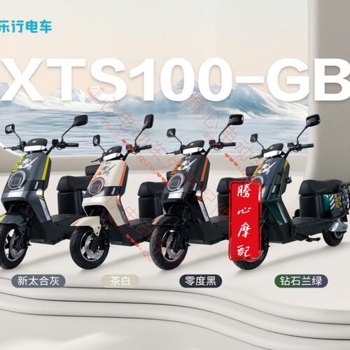 乐行S100电瓶车后护板挡泥配件