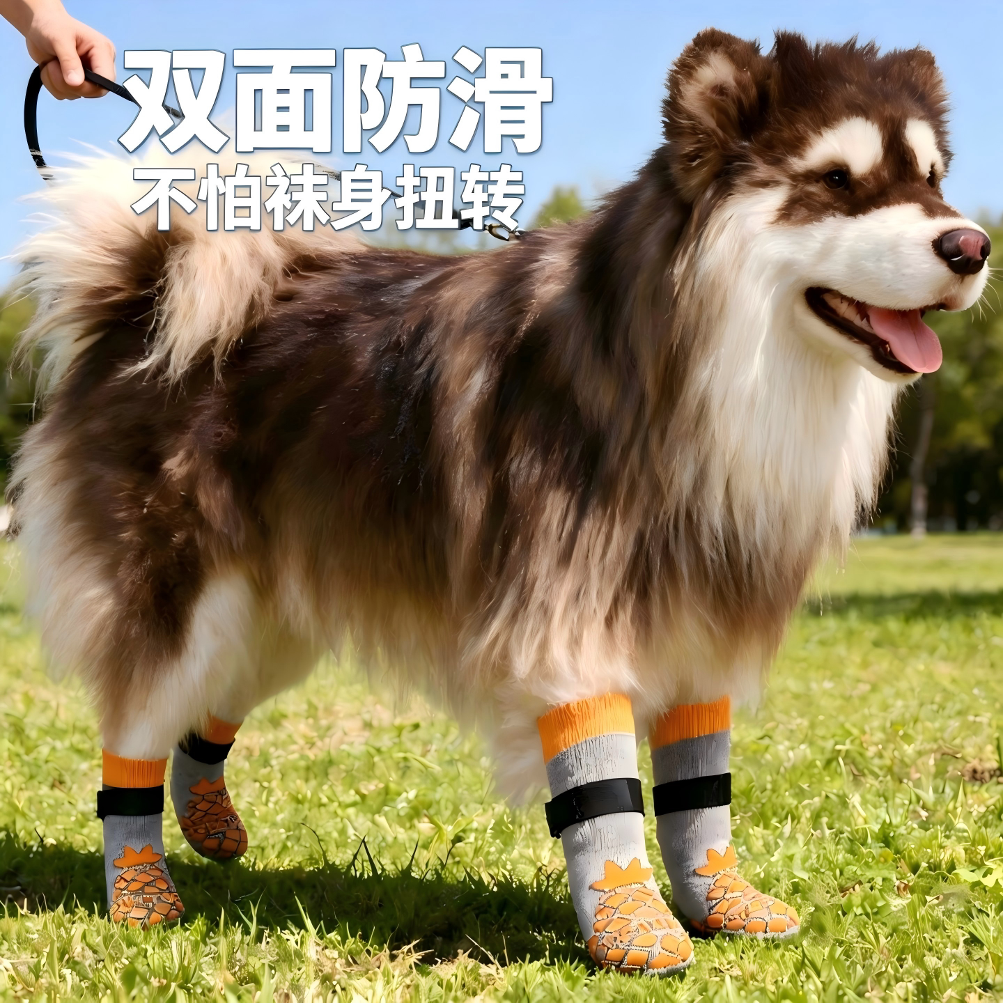 大狗防滑不掉脚静音护关节袜子