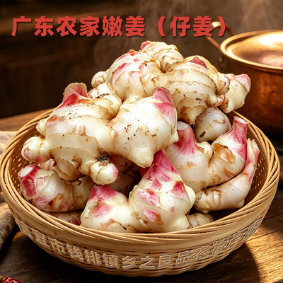 广东本地姜红芽嫩姜子姜