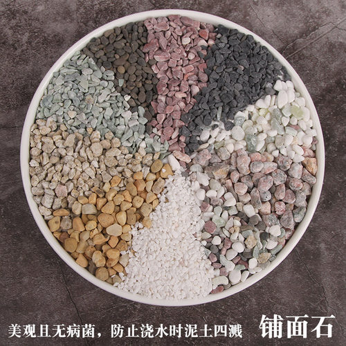 多肉植物天然鱼缸麦饭石