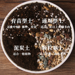 营养土种植土通用型花土专用土壤无菌土有机土泥炭土颗粒土多肉土