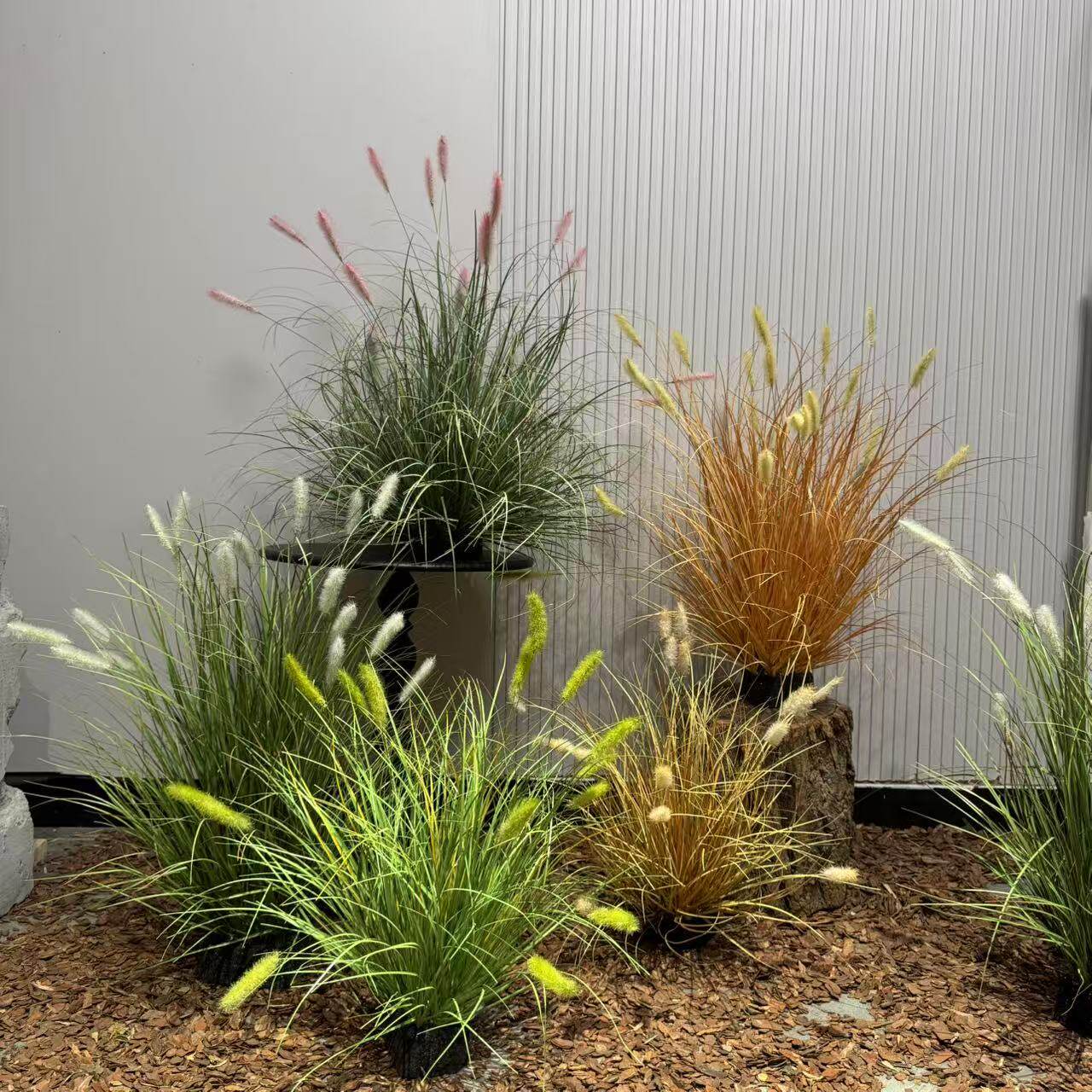 狗尾草卢苇草仿真毛毛虫猫尾草