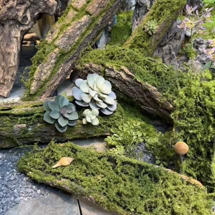 仿真假树皮枯木苔藓造景装饰青苔树根绿植美陈幼儿园环创摄影道具