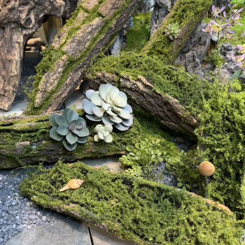 仿真假树皮枯木苔藓树桩摄影道具