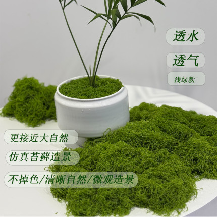 仿真苔藓草皮造景仿生青苔微景观假山软丝苔藓铺面透水草坪盆栽