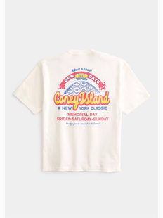 正品必保Hollister夏季新款印花宽松短款短袖T恤