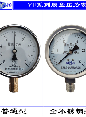 YE-60 YE-100 YE-150 膜盒压力表 不锈钢膜盒压力表 耐震 BF BFZ