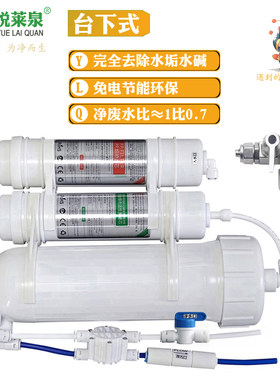 台下式去水垢过滤器反渗透纯水机