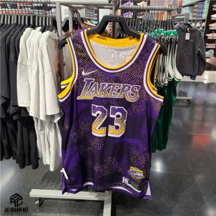 NIKE/耐克 NBA 紫金湖人詹姆斯25-26 SW 男子篮球球衣 HJ4066-504