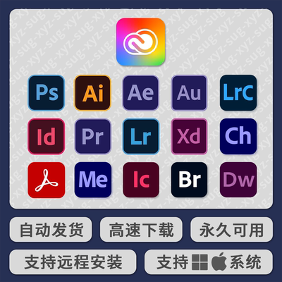 自行安装远程安装包含Win/Mac