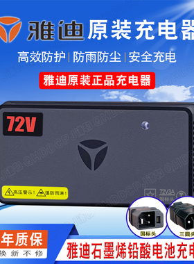原装雅迪电动车充电器60V3A72V3A6A冠能E8E9雅迪充电器石墨烯专用