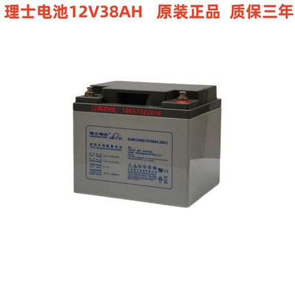 LEOCH理士蓄电池12V38AH 免维护DJM12-38S 直流屏UPS机房铁路消防