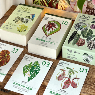 妮斯特ListLee2026年原创365页绿植插画日历每日一撕新款 手撕台历