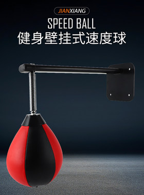 龙牙壁挂速度球拳击沙袋家用