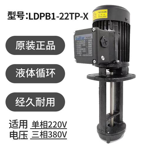 炳丰中走丝油泵Luikar大铁水泵