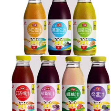 升旗饮料石榴汁 小白杏 黑加仑 葡萄 哈密瓜蟠桃桑椹 新疆特产