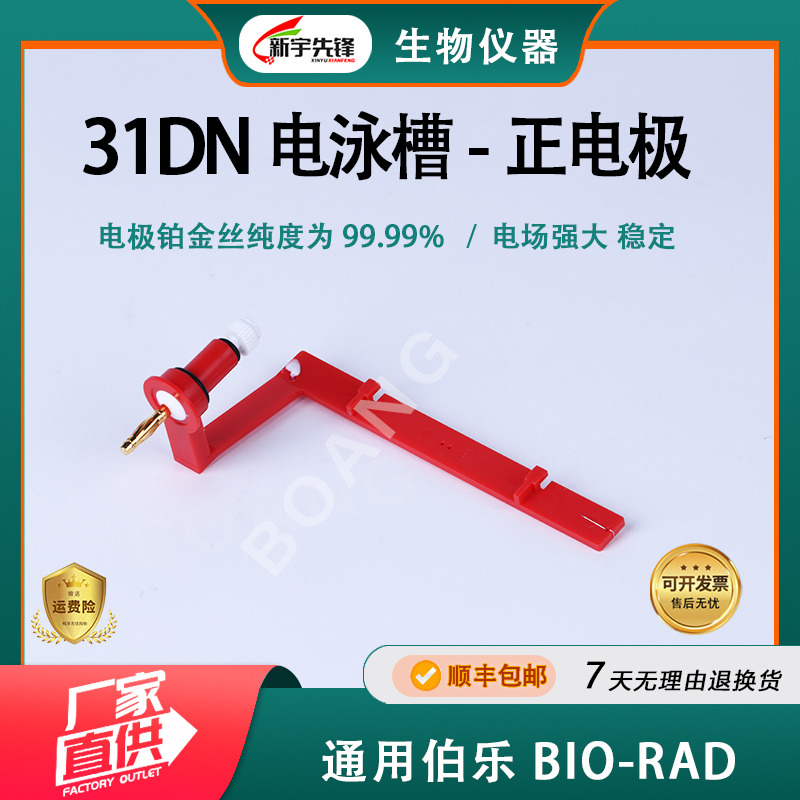 六一通用国产红黑正负电极