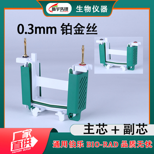 WB电泳槽电泳芯主芯副芯密封条WB电极架侧卡夹伯乐BIO-RAD通用