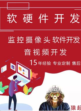 摄像头软件开发海康威视大华宇视频监控工业视觉检测程序系统定制