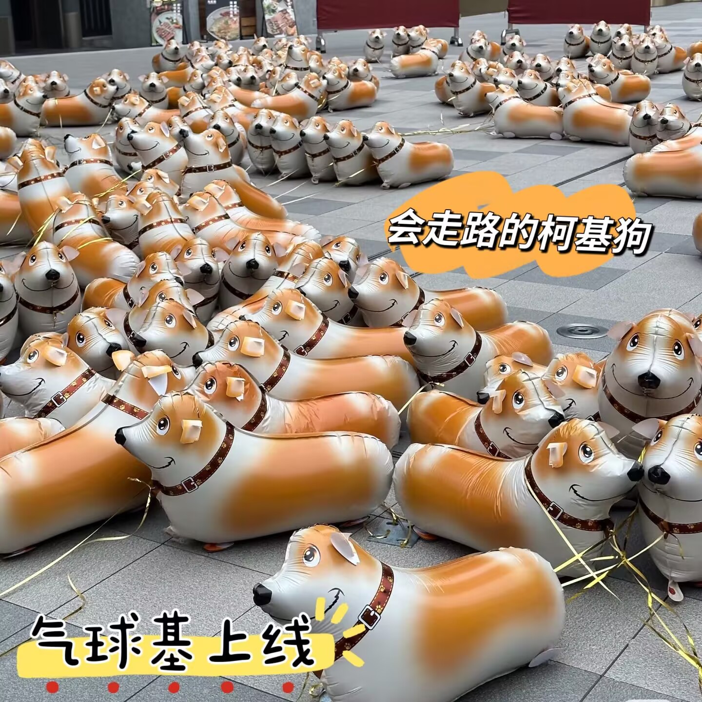 抖音同款走路柯基走路猪铝膜气球