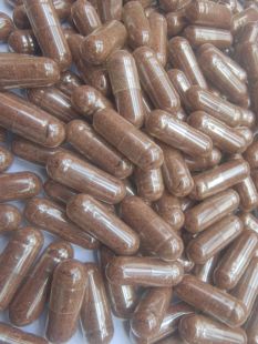 金边土元龙血竭粉胶囊100粒 野生土鳖虫血竭骨碎补乳香没药