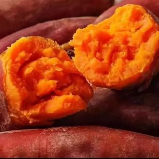 裕禄情兰考沙地红薯 西瓜红地瓜红心蜜薯 新鲜农家自种番薯5斤