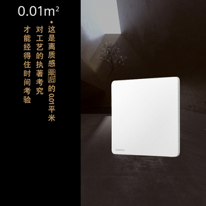 西门子睿宸无框系列超薄开关插座