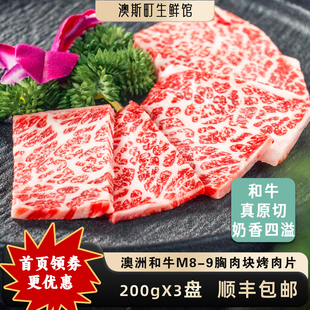 胸肉块原切澳洲和牛M8 韩国烤肉片户外烧烤牛排600g 9雪花牛肉日式