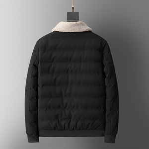 冬季男士羊羔绒翻领棉衣短款外套修身羽绒棉服加厚棉衣827-P65图片