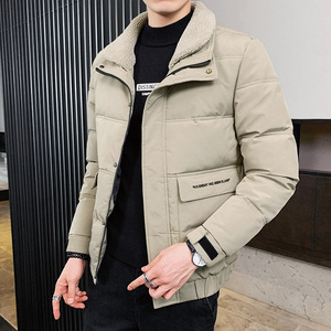 冬季男士外套毛领棉衣修身潮流保暖休闲棉服翻领短款棉袄828-P70图片