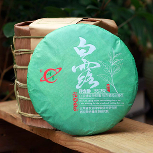 云茶 茶科所 2022年春白露 曼松白茶 月光白云南大叶种茶叶 包邮